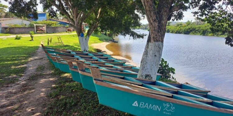 BAMIN entrega canoas sustentáveis a pescadores de Sambaituba, em Ilhéus