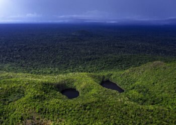 União defende manter controle sobre área estratégica de nióbio em Seis Lagos, no Amazonas