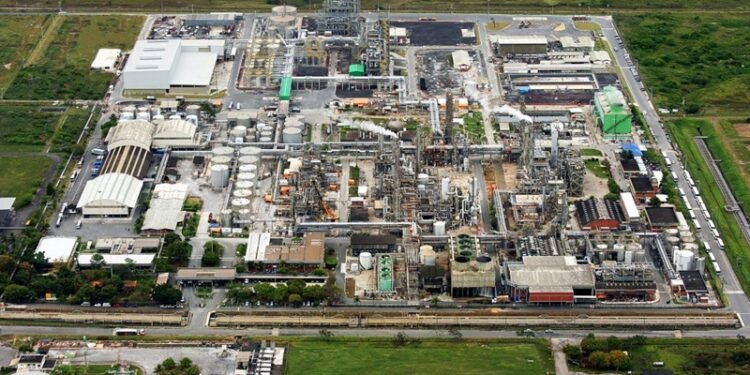 Brazilian Rare Earths e Carester firmam parceria de 10 anos para fortalecer produção de terras raras