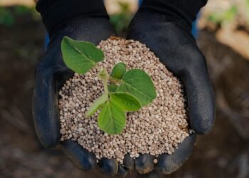 Fertilizantes de alta performance da Eurochem impulsionam produtividade de milho e soja