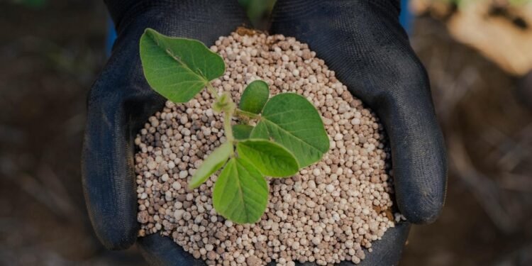 Fertilizantes de alta performance da Eurochem impulsionam produtividade de milho e soja