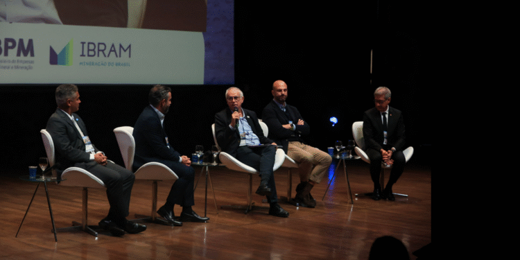 Brasil busca ambiente favorável à industrialização e expansão dos minerais críticos