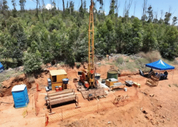 Copam acata pedido do MPF e adia análise de projetos de terras raras em Minas Gerais