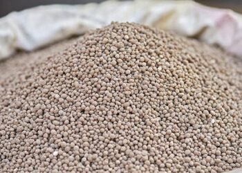 EUA incluem fosfato e potássio em lista de minerais críticos para reduzir dependência externa