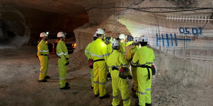 VL Holding conclui aquisição da única mina de potássio em operação no Brasil