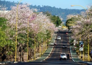 ANM repassa R$ 1 bilhão da CFEM em novembro;  descubra quais estados e municípios mais receberam