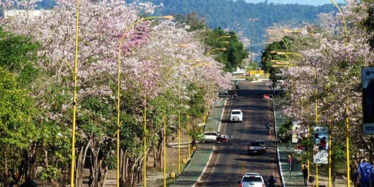 ANM repassa R$ 1 bilhão da CFEM em novembro; descubra quais estados e municípios mais receberam