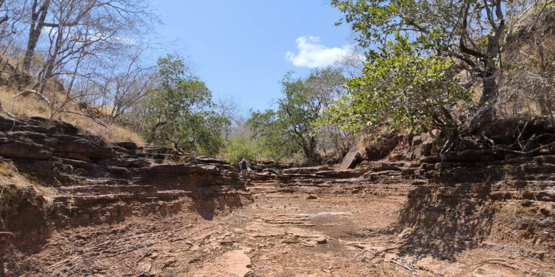 Estudo do SGB aponta altos teores de fosfato, urânio e terras raras na Bacia do Parnaíba, no Piauí