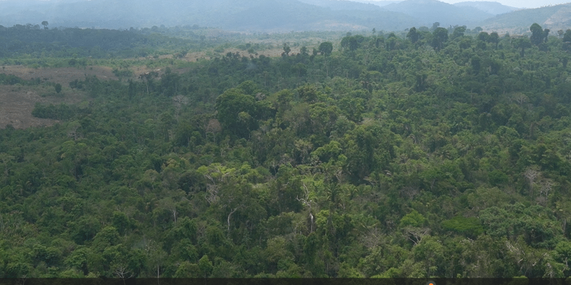 Disputa por área rica em ferro em Serra Pelada expõe fragilidades na atuação da ANM