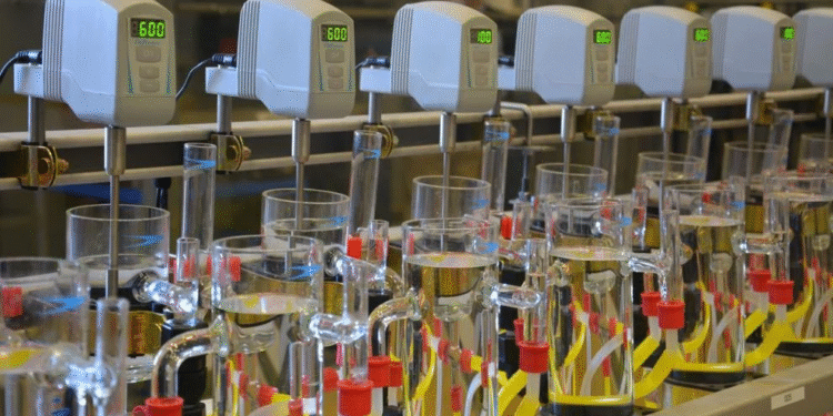 IA é aposta para refino de terras raras pesadas em Goiás