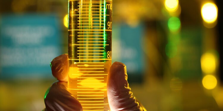 Vale garante fornecimento de diesel para operações em Minas Gerais em contrato com a Petrobras