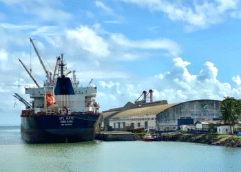 Atlantic Nickel exporta mais de 121 mil toneladas de níquel em 2025