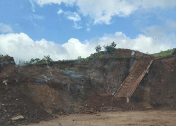 Extração ilegal provoca danos ambientais em áreas da Vale no Pará