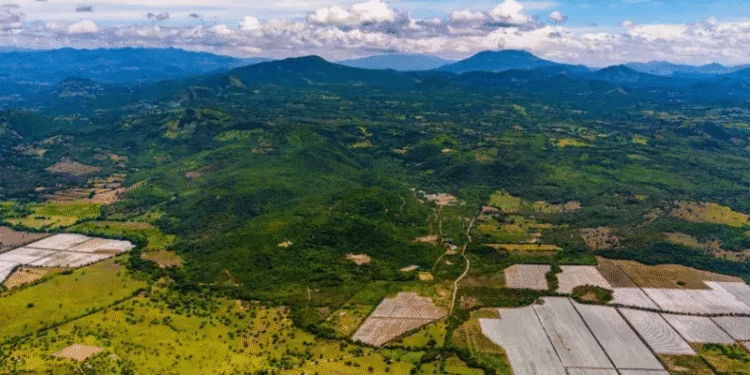 Aura obtém Licença de Construção e inicia obras preliminares do Projeto Era Dorada, na Guatemala