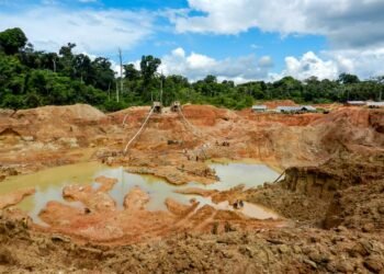Jangada Mines garante direito de adquirir 100% de projeto de ouro em Tapajós