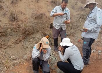 SGB intensifica pesquisas para identificar terras raras em Minas Gerais