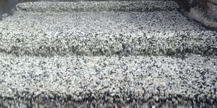 Setor mineral critica exclusão do Fundo Clima e vê risco à agenda verde