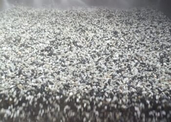 Lithium Ionic fecha acordos de fornecimento com gigantes globais do lítio