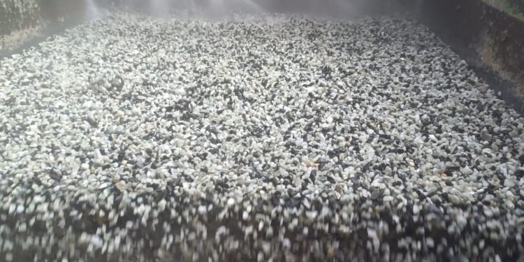 Lithium Ionic fecha acordos de fornecimento com gigantes globais do lítio