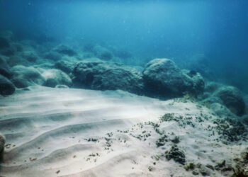 2026 pode trazer primeiro código global para mineração submarina, diz brasileira que chefia órgão da ONU