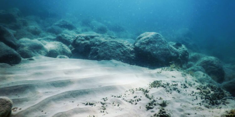 2026 pode trazer primeiro código global para mineração submarina, diz brasileira que chefia órgão da ONU