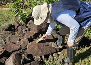 Serviço Geológico busca rochas com potencial de diamantes em Jauru, no Mato Grosso