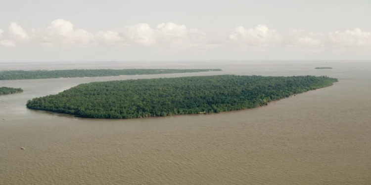 SGB firma parceria com a Petrobras para mapear recursos da Bacia do Marajó