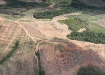 Justiça exige nova análise de radioatividade em projetos de terras raras da Viridis e Meteoric
