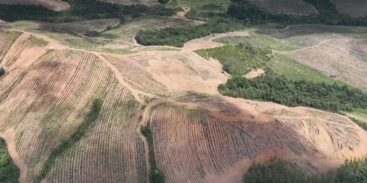 Justiça exige nova análise de radioatividade em projetos de terras raras da Viridis e Meteoric