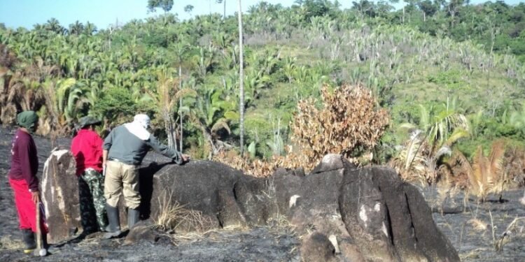 SGB publica novo relatório sobre geologia e potencial mineral do médio Tapajós, no Pará