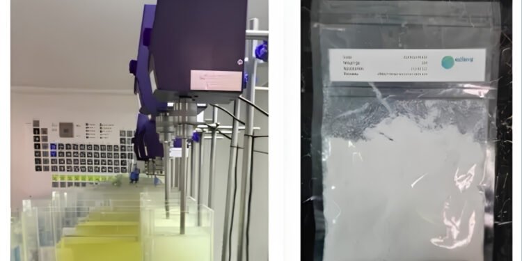 Aclara desenvolve novo carbonato de terras raras com pureza de 99% para projetos no Brasil e Chile