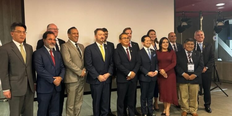 AMIG Brasil propõe criação de comitê latino-americano para unificar regras sobre minerais críticos