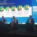 Brasil busca se posicionar como alternativa na cadeia global de minerais críticos