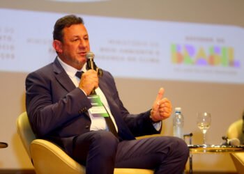 Meteoric defende mineração sustentável de terras raras em fórum sobre transformação ecológica