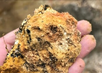 Meteoric confirma viabilidade do Projeto Caldeira e coloca o Brasil como player global na produção de terras raras