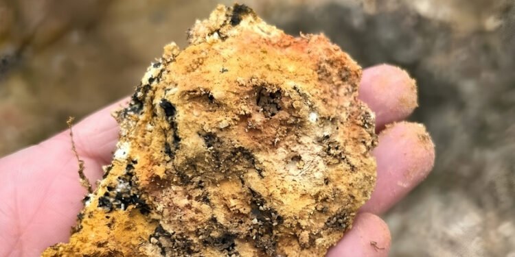 Meteoric confirma viabilidade do Projeto Caldeira e coloca o Brasil como player global na produção de terras raras