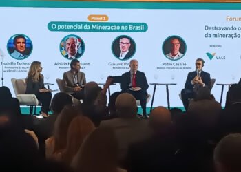 Vale avalia entrada em lítio e terras raras, mas mantém foco em grandes commodities