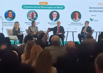 Vale defende força-tarefa para acelerar projetos estratégicos de minerais críticos