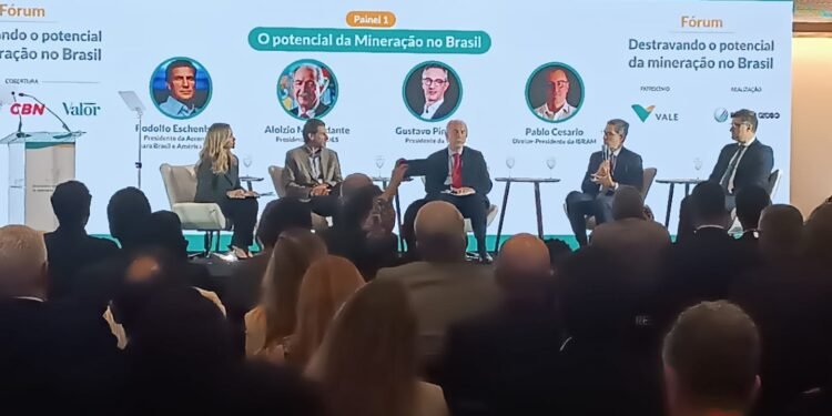 Vale defende força-tarefa para acelerar projetos estratégicos de minerais críticos