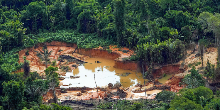 Estudo aponta fragilidades na cadeia do ouro e propõe medidas contra fraudes na Amazônia