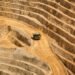 Amapá Minerals capta US$ 100 milhões em IPO para avançar projeto de ouro no Amapá