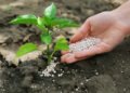 Avanço do Profert reconhece papel estratégico da mineração, avalia especialista em direito minerário