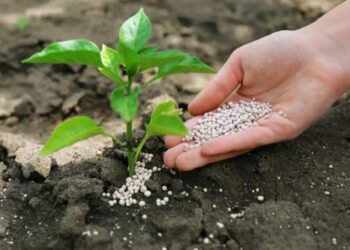 Avanço do Profert reconhece papel estratégico da mineração, avalia especialista em direito minerário