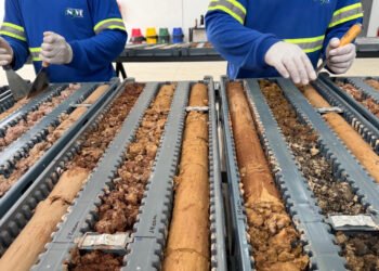 Power Minerals confirma terras raras de alto teor em profundidade e amplia potencial do Projeto Morro do Ferro, em Minas Gerais