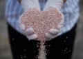 Potássio do Brasil testa IA para aumentar produção de fertilizante