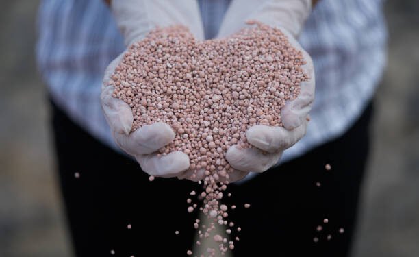 Potássio do Brasil testa IA para aumentar produção de fertilizante