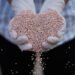 Potássio do Brasil testa IA para aumentar produção de fertilizante